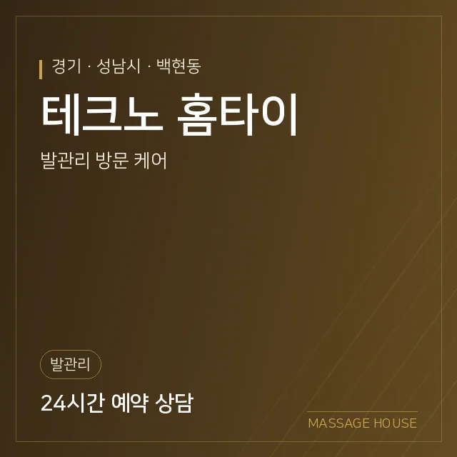 경기 성남시 테크노 홈타이 출장마사지 안내 이미지
