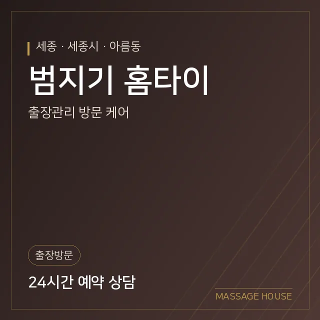세종 세종시 범지기 홈타이 출장마사지 안내 이미지