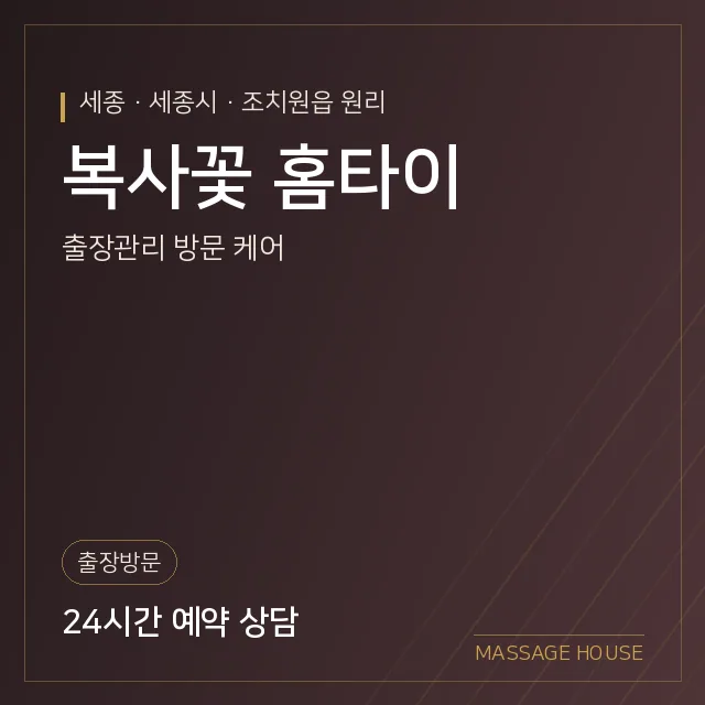 세종 세종시 복사꽃 홈타이 출장마사지 안내 이미지