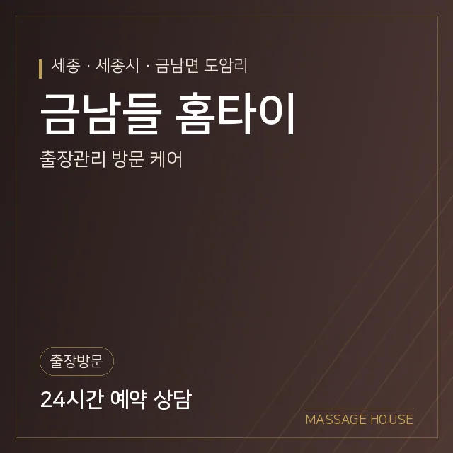 세종 세종시 금남들 홈타이 출장마사지 안내 이미지