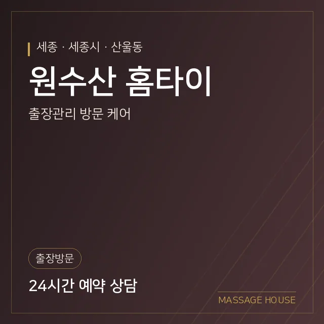 세종 세종시 원수산 홈타이 출장마사지 안내 이미지