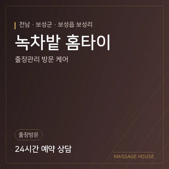 전남 보성군 녹차밭 홈타이 출장마사지 안내 이미지