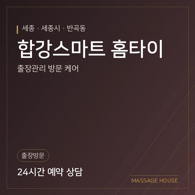 세종 세종시 합강스마트 홈타이 출장마사지 안내 이미지