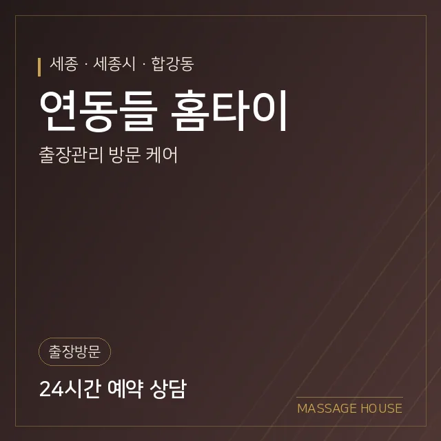 세종 세종시 연동들 홈타이 출장마사지 안내 이미지